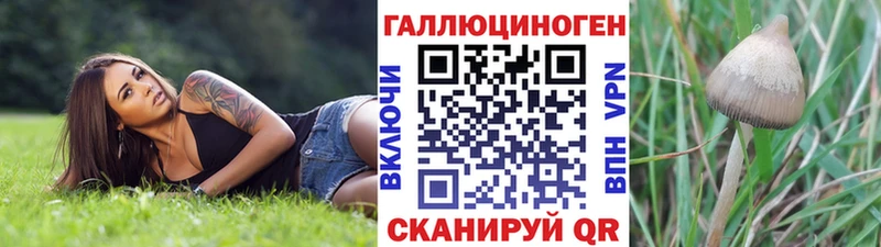Галлюциногенные грибы Psilocybine cubensis  купить   Чита 